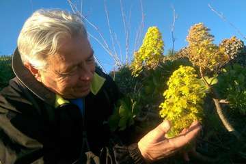 José Manuel Espiño Meilán, autor del artículo/TA.