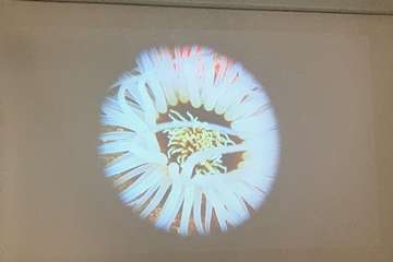 El FotoSub Costa de Telde entrega los premios de su séptima edición/TA.