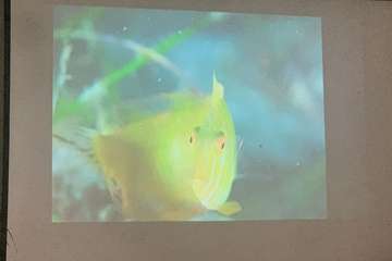 El FotoSub Costa de Telde entrega los premios de su séptima edición/TA.