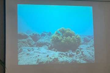 El FotoSub Costa de Telde entrega los premios de su séptima edición/TA.