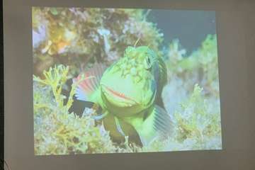 El FotoSub Costa de Telde entrega los premios de su séptima edición/TA.