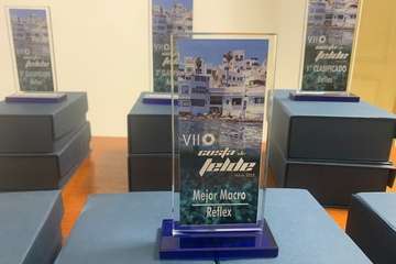 El FotoSub Costa de Telde entrega los premios de su séptima edición/TA.