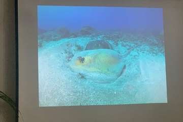 El FotoSub Costa de Telde entrega los premios de su séptima edición/TA.