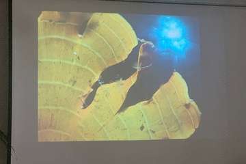 El FotoSub Costa de Telde entrega los premios de su séptima edición/TA.