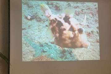 El FotoSub Costa de Telde entrega los premios de su séptima edición/TA.