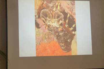 El FotoSub Costa de Telde entrega los premios de su séptima edición/TA.