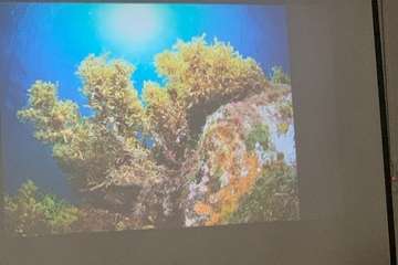 El FotoSub Costa de Telde entrega los premios de su séptima edición/TA.