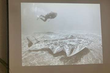 El FotoSub Costa de Telde entrega los premios de su séptima edición/TA.