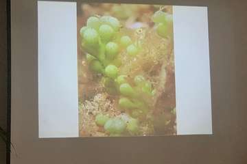 El FotoSub Costa de Telde entrega los premios de su séptima edición/TA.