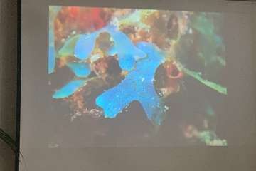 El FotoSub Costa de Telde entrega los premios de su séptima edición/TA.