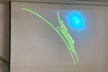 El FotoSub Costa de Telde entrega los premios de su séptima edición/TA.