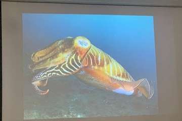 El FotoSub Costa de Telde entrega los premios de su séptima edición/TA.