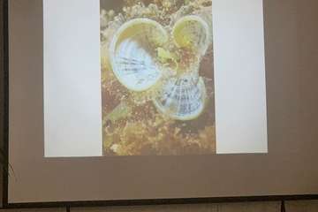 El FotoSub Costa de Telde entrega los premios de su séptima edición/TA.