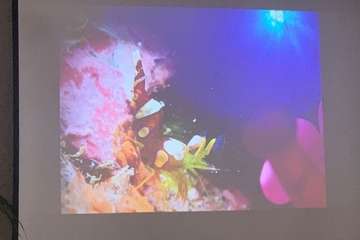 El FotoSub Costa de Telde entrega los premios de su séptima edición/TA.