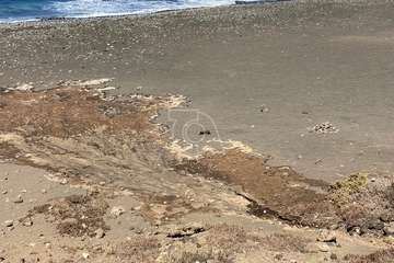Vertido de aguas fecales en la playa de La Restinga (Telde)/TA.