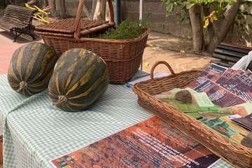 Domingo agroecológico en el parque urbano de San Juan (Telde)/TA.