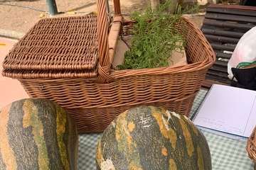 Domingo agroecológico en el parque urbano de San Juan (Telde)/TA.