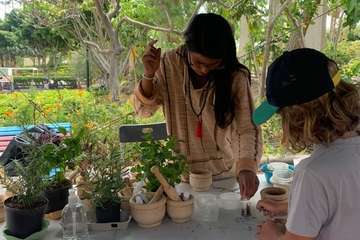 Domingo agroecológico en el parque urbano de San Juan (Telde)/TA.