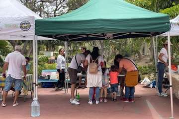 Domingo agroecológico en el parque urbano de San Juan (Telde)/TA.