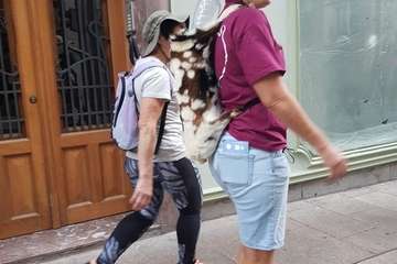 Senderistas de Telde culminan en siete días el tramo de Logroño a Burgos del Camino de Santiago/TA.