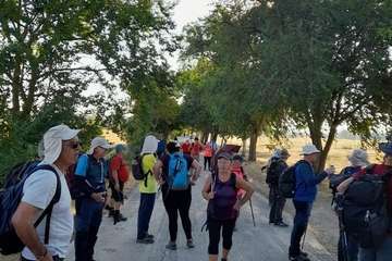 Senderistas de Telde culminan en siete días el tramo de Logroño a Burgos del Camino de Santiago/TA.