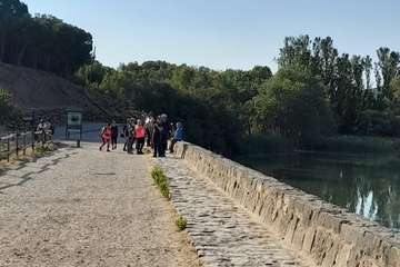 Senderistas de Telde culminan en siete días el tramo de Logroño a Burgos del Camino de Santiago/TA.