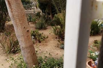 Los jardines comunitarios de Las Remudas se secan/TA.