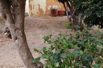 Los jardines comunitarios de Las Remudas se secan/TA.