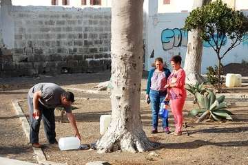 El Dragonal de Salinetas florece tras 20 años de lucha vecinal y ecologista/TA.