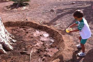 El Dragonal de Salinetas florece tras 20 años de lucha vecinal y ecologista/TA.