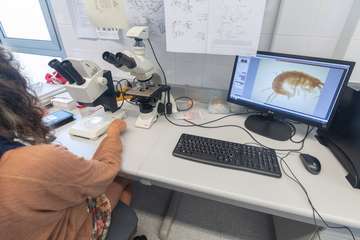 Visita a las instalaciones científicas de la ULPG en la costa de Taliarte-Telde/TA.