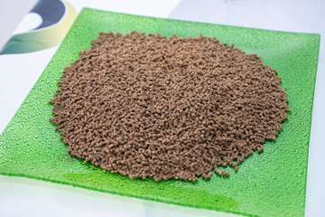 Visita a las instalaciones científicas de la ULPG en la costa de Taliarte-Telde/TA.