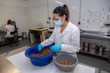 Visita a las instalaciones científicas de la ULPG en la costa de Taliarte-Telde/TA.
