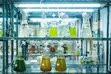 Visita a las instalaciones científicas de la ULPG en la costa de Taliarte-Telde/TA.