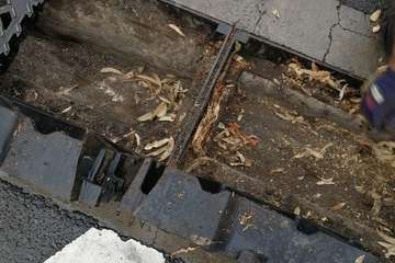 El vecindario limpia las arquetas de aguas pluviales en Jinámar pueblo/TA.