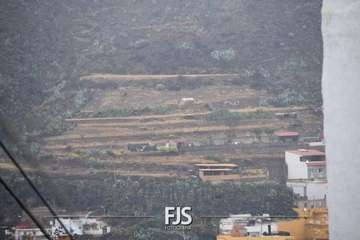 Las lluvias de Hermine provocan la caída de un árbol en el Valle de Jinámar (Telde) y de un parterre en El Goro/TA.