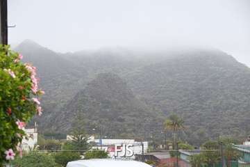 Las lluvias de Hermine provocan la caída de un árbol en el Valle de Jinámar (Telde) y de un parterre en El Goro/TA.
