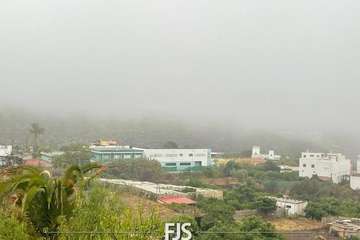 Las lluvias de Hermine provocan la caída de un árbol en el Valle de Jinámar (Telde) y de un parterre en El Goro/TA.