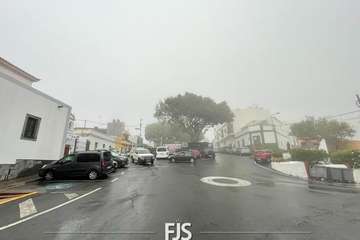Las lluvias de Hermine provocan la caída de un árbol en el Valle de Jinámar (Telde) y de un parterre en El Goro/TA.