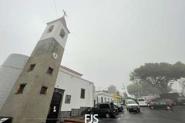 Las lluvias de Hermine provocan la caída de un árbol en el Valle de Jinámar (Telde) y de un parterre en El Goro/TA.