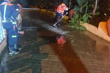 Las lluvias de Hermine provocan la caída de un árbol en el Valle de Jinámar (Telde) y de un parterre en El Goro/TA.