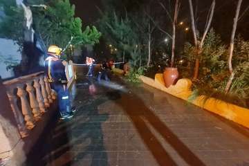 Las lluvias de Hermine provocan la caída de un árbol en el Valle de Jinámar (Telde) y de un parterre en El Goro/TA.