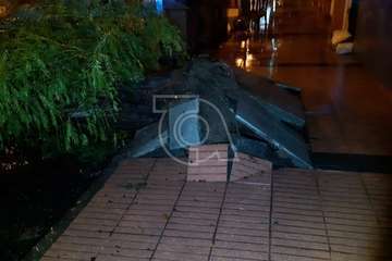 Un árbol se desploma sobre un vehículo en una calle de Lomo Cementerio (Telde)/TA.