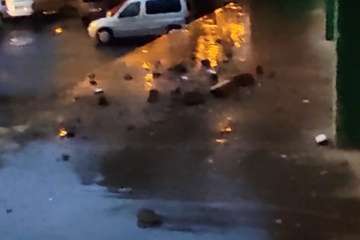 Desprendimientos en la fachada trasera del Mercado Municipal/TA.