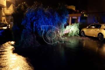 Un árbol se desploma sobre un vehículo en una calle de Lomo Cementerio (Telde)/TA.