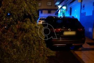 Un árbol se desploma sobre un vehículo en una calle de Lomo Cementerio (Telde)/TA.