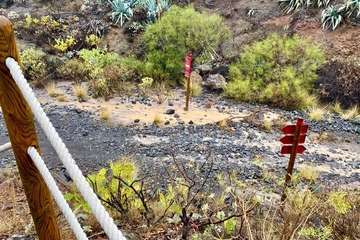 La escorrentía provocó daños al corredor paisajístico de Telde/TA.