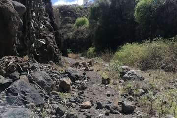 Desprendimientos de rocas sobre el corredor paisajístico en el Barranco Real de Telde/TA.