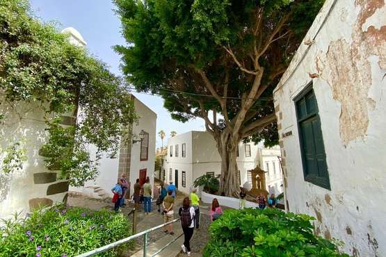 Ruta guiada por el arbolado urbano de Telde/TA.