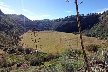 Denuncian la apertura de una pista en el fondo de la Caldera de los Marteles para grabar la serie 'El Zorro'/TA.
